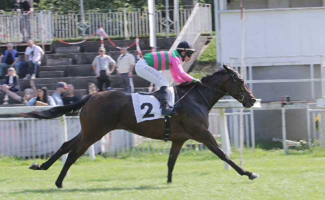 Ippica all’Ippodromo Snai San Siro la domenica di galoppo con grandi emozioni: nel Premio Karla Willer vince vene The Last Rebel mentre nel Mario Cipolloni nessuna fatica per Eastern Charm. Ultimo saluto all’ex fantino ed allenatore Sandro Mattei