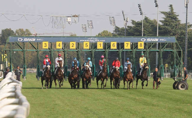 Ippica all’Ippodromo Snai San Siro mercoledì di galoppo con sei corse a partire dalle ore 15:30 e con in evidenza due handicap in chiusura e le eliminatorie del Circuito San Siro ‘Classic’ e ‘Mile’