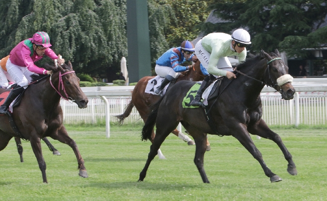 all’ippodromo snai san siro primo giugno pieno di emozioni: arrivo al fotofinish di speed trap nell’ultima eliminatoria san siro sprint. sigilli di love ya e di emperor jade nei premi ippodromo di adana e ippodromo del casalone