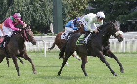 all’ippodromo snai san siro primo giugno pieno di emozioni: arrivo al fotofinish di speed trap nell’ultima eliminatoria san siro sprint. sigilli di love ya e di emperor jade nei premi ippodromo di adana e ippodromo del casalone