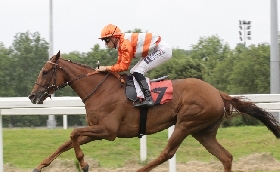 Ippica domenica all'Ippodromo Snai di San Siro si fa sul serio con il gruppo 3 per il premio del Giubileo e due listed per il premio XCVI Royal Mares e il Mario e Vittorio Crespi