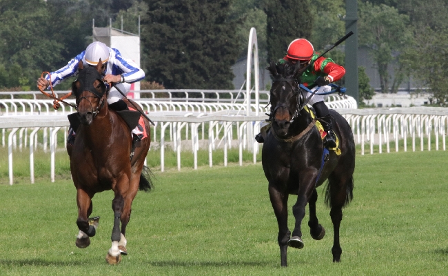 fine settimana di galoppo all’ippodromo snai san siro di milano: sabato la 24^ giornata stagionale con otto corse dalle ore 17:50 fino alle 22:10 e tanta animazione e musica dal vivo. domenica si replica