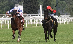 fine settimana di galoppo all’ippodromo snai san siro di milano: sabato la 24^ giornata stagionale con otto corse dalle ore 17:50 fino alle 22:10 e tanta animazione e musica dal vivo. domenica si replica