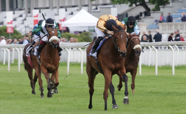 Ippica domenica di galoppo all’Ippodromo Snai San Siro con in pista sette corse tra cui la finale del Circuito San Siro Sprint. Musica dal vivo e animazione mentre sale l’attesa per le Oaks d’Italia del 22 giugno