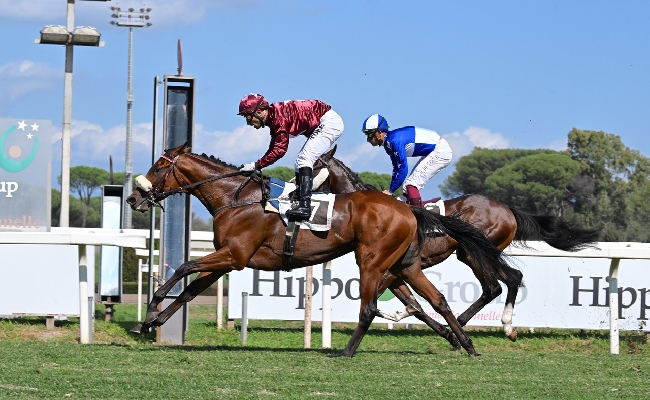 Ippica Lazzat da battere nel Queen Elizabeth II Jubilee ad Ascot Satono Reve Irisherin e Storm Boy provano il colpo su Sisal.it