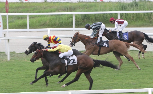 Ippica il sabato sera di galoppo all'Ippodromo Snai San Siro con la giovane generazione sotto i riflettori: nel Premio Tramuschio di Supreme Winner per il Boffalora l'attesa Chelsea Believe si conferma