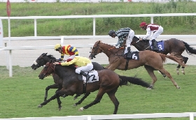 Ippica il sabato sera di galoppo all'Ippodromo Snai San Siro con la giovane generazione sotto i riflettori: nel Premio Tramuschio di Supreme Winner per il Boffalora l'attesa Chelsea Believe si conferma