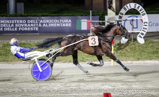Ippica Ippodromo Cesena Trotto: resoconto delle corse di sabato 21 giugno