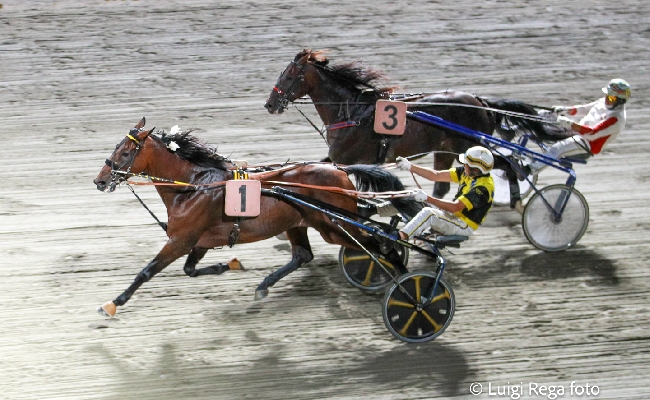 Ippica Ippodromo di Cesena: martedì 24 giugno prima TQQ della stagione con il Premio Hippo Restaurants