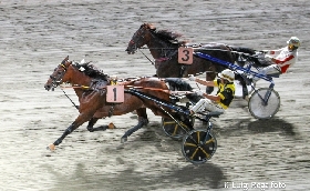 Ippica Ippodromo di Cesena: martedì 24 giugno prima TQQ della stagione con il Premio Hippo Restaurants