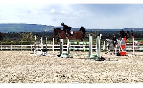 Equitazione Salto ostacoli: da venerdì a domenica Tanca Regia ospita la 2^ tappa del Trofeo Asvi con 240 iscritti 