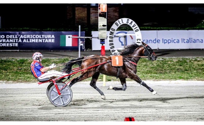 Ippica Ippodromo di Cesena: resoconto delle corse di martedì 24 giugno