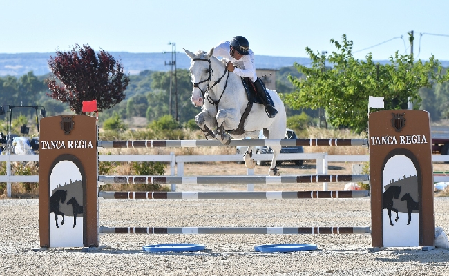 Equitazione salto ostacoli: Giovanni Carboni su Ardita Nice vince il Gran Premio e la classifica dei 7 anni e oltre a Tanca Regia per la 2^ tappa del Trofeo Asvi
