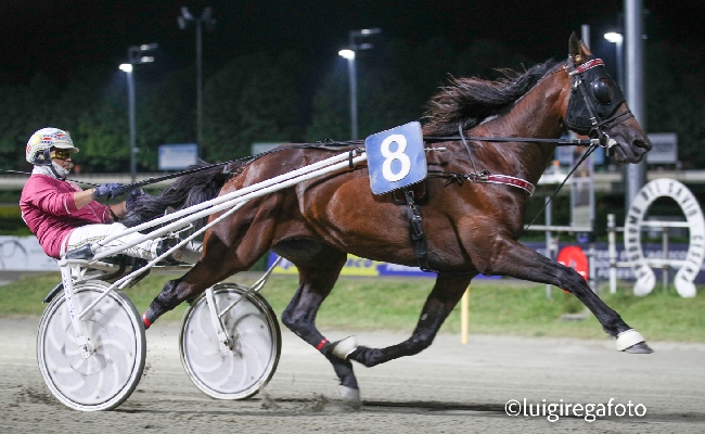 Ippica Ippodromo di Cesena: Dakovo Mail vince a sorpresa il Gran Premio Riccardo Grassi Trofeo Romagna Iniziative