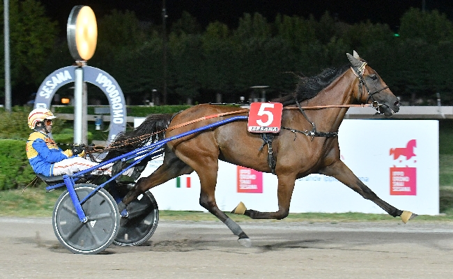 Ippica all'Ippodromo Snai Sesana bel sabato sera con Gooui di Poggio che fa suo il Premio Miss Montecatini 2025 e il driver Federico Esposito che fa 'triplete'