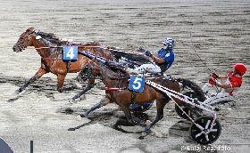 Ippica Ippodromo di Cesena: martedì 8 luglio sette corse dalle 20:55 con degustazione di vini Nicolucci e corsa Tris