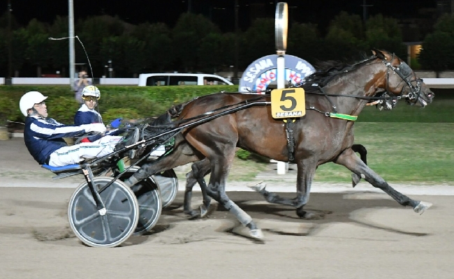 Ippica Ippodromo Snai Sesana: partenti 20esima edizione del Gran Premio Nello Bellei in programma sabato 12 luglio