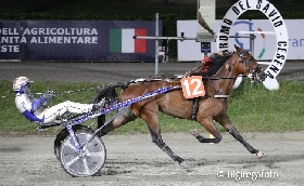 Ippica Ippodromo di Cesena: martedì 8 luglio Forest con Amitrano vincitori della TQQ  Premio Fattoria Nicolucci