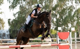Equitazione salto ostacoli: la Fise Sardegna programma l'attività di formazione del settore giovanile con gare (sabato e domenica Ala Birdi) stage e trasferte nella penisola