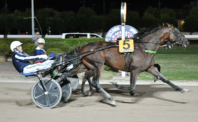 Ippica sabato all’ippodromo Snai Sesana lo spettacolo del Gran Premio Nello Bellei il primo ‘Classico’ della stagione e di luglio di Gruppo 3