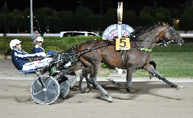 Ippica sabato all’ippodromo Snai Sesana lo spettacolo del Gran Premio Nello Bellei il primo ‘Classico’ della stagione e di luglio di Gruppo 3