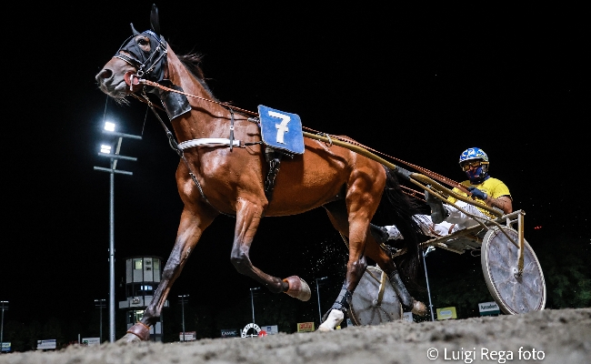 Ippica Ippodromo di Cesena: martedì 15 luglio Superfrustino al via dalle 20:55 in programma anche la TQQ