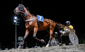 Ippica Ippodromo di Cesena: martedì 15 luglio Superfrustino al via dalle 20:55 in programma anche la TQQ