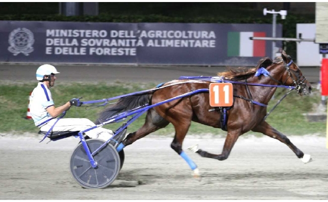 Ippica Ippodromo di Cesena: resoconto delle corse di martedì 15 luglio