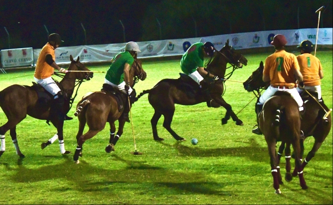 Italia Polo Challenge. Sardegna cavalli e sport equestri nei numeri della fise la grande passione: tesserati patenti ‘a’ cavalli