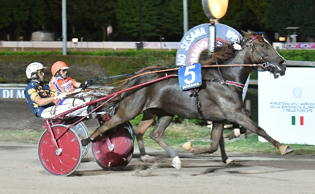 Ippica Ippodromo Snai Sesana: pronto riscatto di Goelicher St nel Gran Premio Società Terme Memorial Vivaldo Baldi secondo ‘classico’ della stagione di trotto
