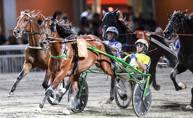 Ippica Ippodromo di Cesena: martedì 22 luglio Superfrustino secondo atto con il Premio ADAC. In serata anche la TQQ