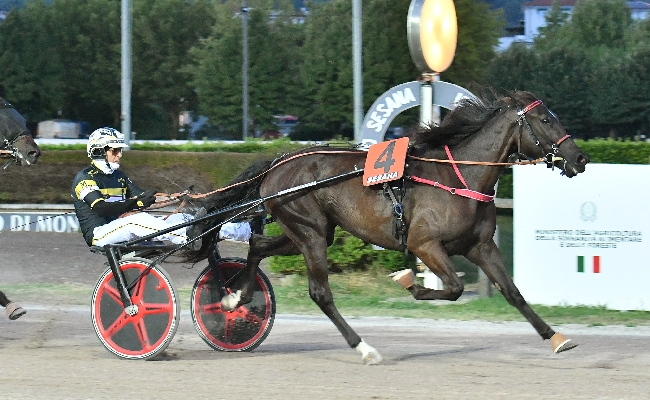 Ippica all’Ippodromo Snai Sesana il ricordo di Sari Del Rosso nella giornata di trotto riservata ai Gentlemen è nel segno del driver Zaccherini che vince con Enterprise As