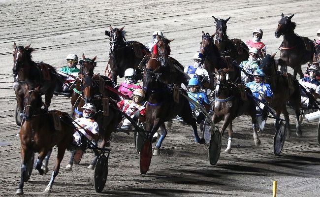 Ippica Ippodromo di Cesena: martedì 29 luglio la terza semifinale del Superfrustino. Sette corse dalle 20:55 con Centrale del Latte di Cesena