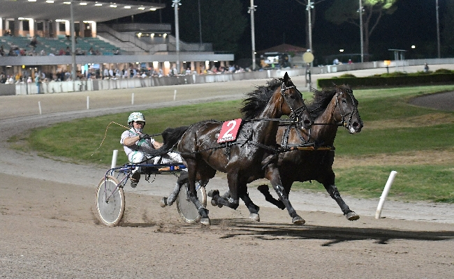 Ippica da sabato 2 inizia il caldo agosto all'Ippodromo Snai Sesana con in pista le corse a Pariglie e il Trotto Montato. Conto alla rovescia per il Gran Premio Città di Montecatini