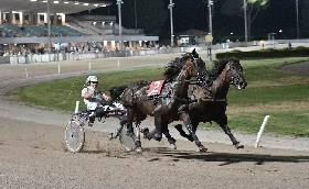 Ippica da sabato 2 inizia il caldo agosto all'Ippodromo Snai Sesana con in pista le corse a Pariglie e il Trotto Montato. Conto alla rovescia per il Gran Premio Città di Montecatini