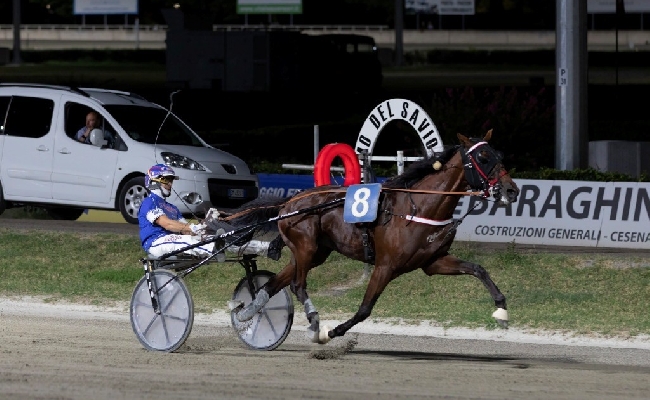 Ippica Ippodromo di Cesena: sabato 2 agosto spettacolo in pista con il Gran Premio Calzolari e il Panathlon Club di Cesena