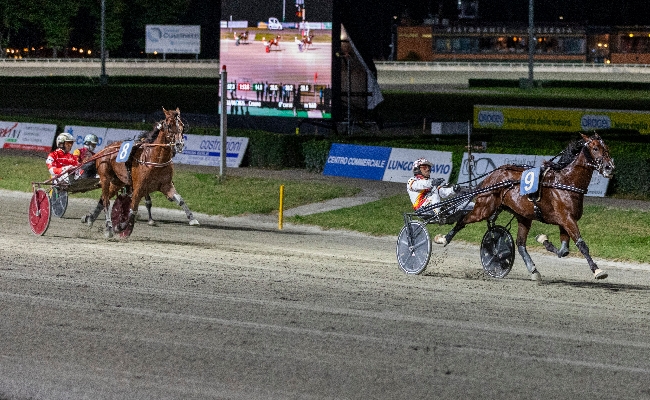 Ippica Ippodromo di Cesena: Gaudi Laksmy entra nell'Albo d'Oro del Gran Premio Augusto Calzolari