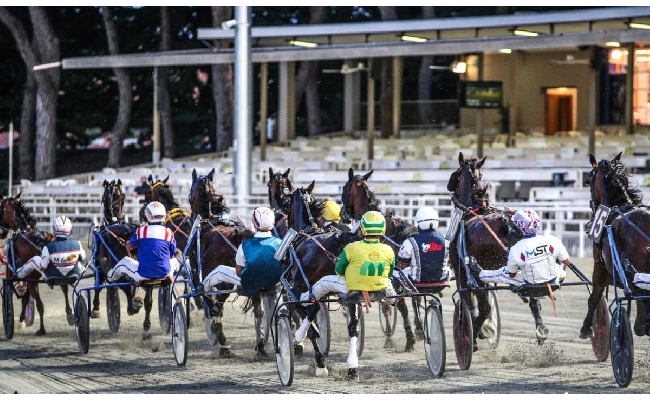 Ippica Ippodromo di Cesena: martedì 12 agosto sette corse con Tris Quarté Quinté Dalle 20:50