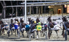 Ippica Ippodromo di Cesena: martedì 12 agosto sette corse con Tris Quarté Quinté Dalle 20:50