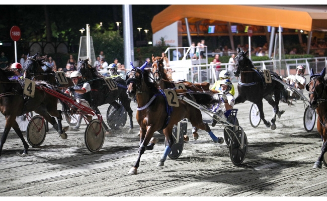 Ippica: Ippodromo di Cesena: martedì 19 agosto le sette corse in programma abbinate ad associazioni di volontariato del territorio. Inizio alle 20:50