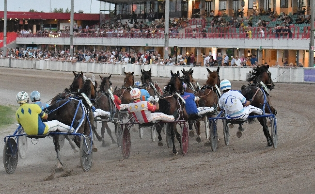 Ippica sabato all'Ippodromo Snai Sesana riunione di trotto dedicata all'associazione GiuliaSmile: sette corse dalle ore 20.40