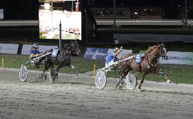 Ippica Ippodromo di Cesena: sabato 23 agosto sette corse con il Comune di Città di Castello e il Master Annamaria Grassi