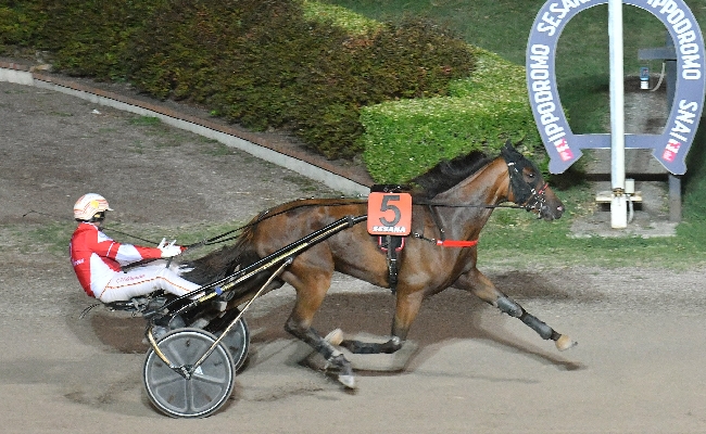 Ippica all’Ippodromo Snai Sesana sabato sera ‘speciale’ imperniato sull’Associazione Giuliasmile mentre in pista brillano Gilda Indal e Cluny Dei Greppi nelle prove con più dotazione