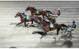 Ippica Ippodromo di Cesena: Finalissima Superfrustino martedì 26 agosto si sfidano le star delle redini lunghe. Dalle 20:35 la sfida è aperta