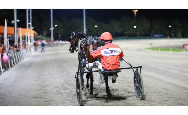 Ippica Campionato Europeo Orogel: tutto pronto per il gran finale appuntamento il 6 settembre all’Ippodromo del Savio