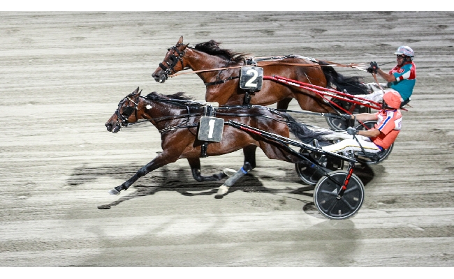 Ippica Ippodromo Cesena Trotto: sabato 6 settembre Campionato Europeo di Trotto Orogel. Due in finale uno nella storia