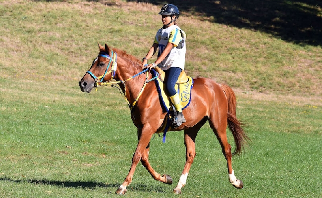 Equitazione endurance: Campionati Italiani a Senette il titolo pony 2025