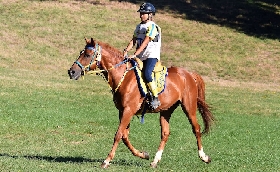 Equitazione endurance: Campionati Italiani a Senette il titolo pony 2025