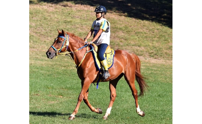Endurance Francesca Maria Senette su Burgesu vince il titolo italiano Endurance Pony categoria Elite
