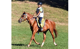 Endurance Francesca Maria Senette su Burgesu vince il titolo italiano Endurance Pony categoria Elite